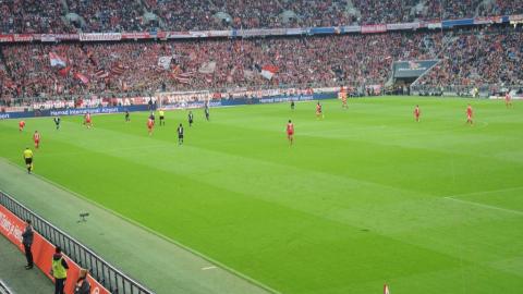 FC BAYERN  vs  1.FSV Mainz 05